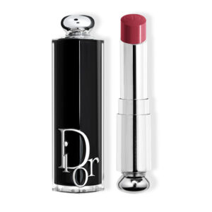 Dior Addict Lipstick Lipstick 667 1un