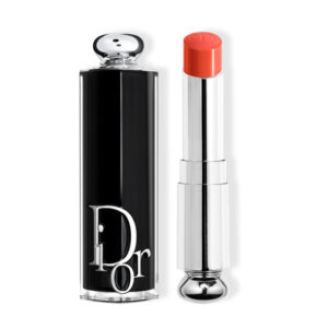 Dior Addict Lipstick Lipstick 744 1un