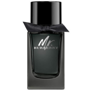 Mr. Burberry Eau De Perfume Spray 100ml